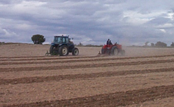 Tractores en el campo